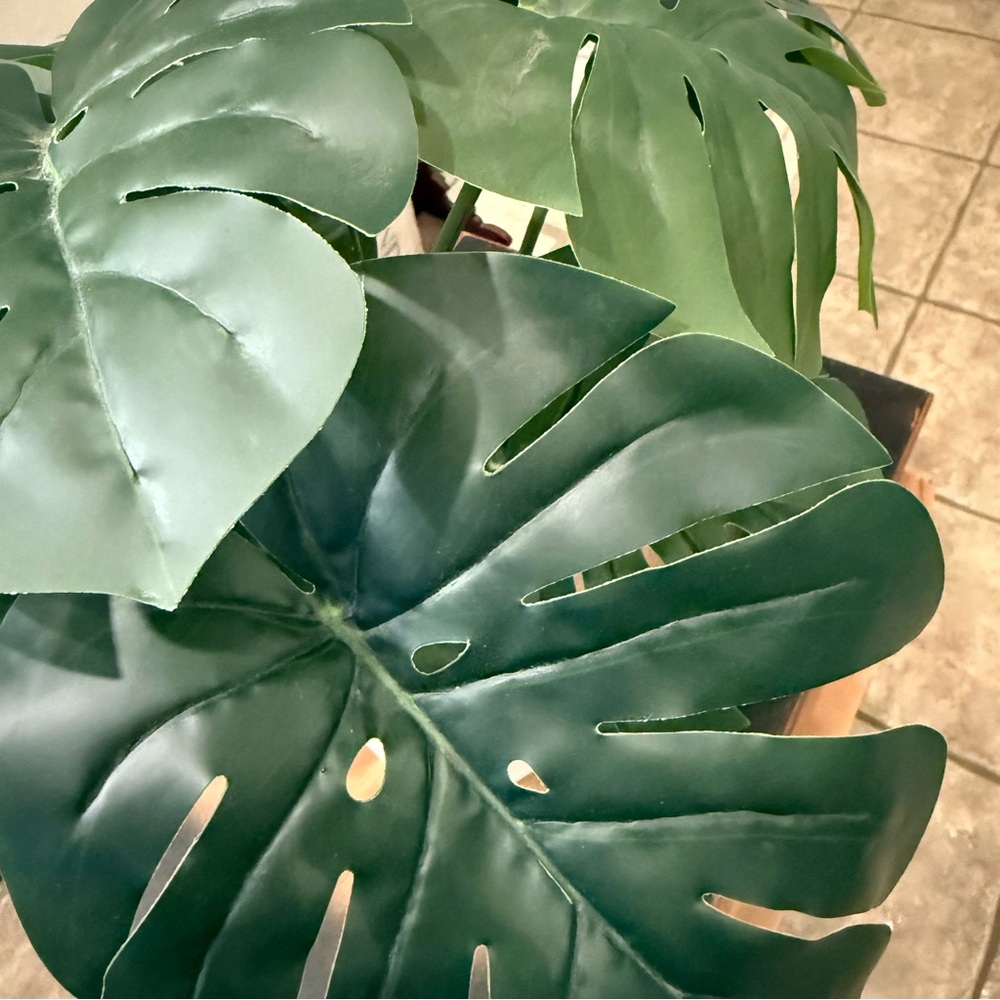 🪴 Faux Monstera Plant - Picture 4 of 12